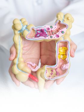 Servicios de Coloproctología